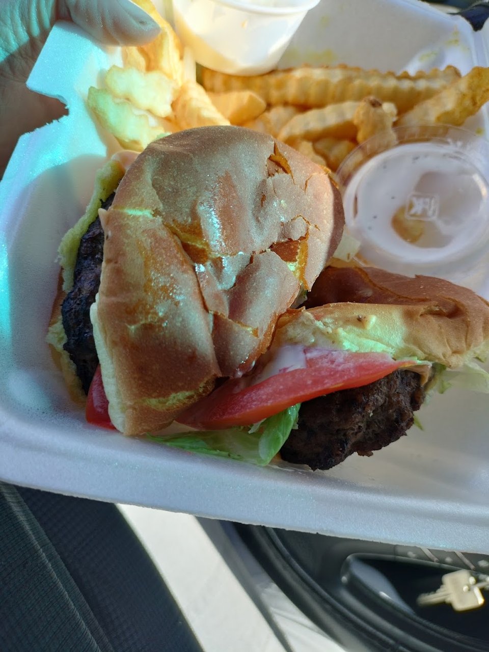 Double Cheeseburger Aplenty